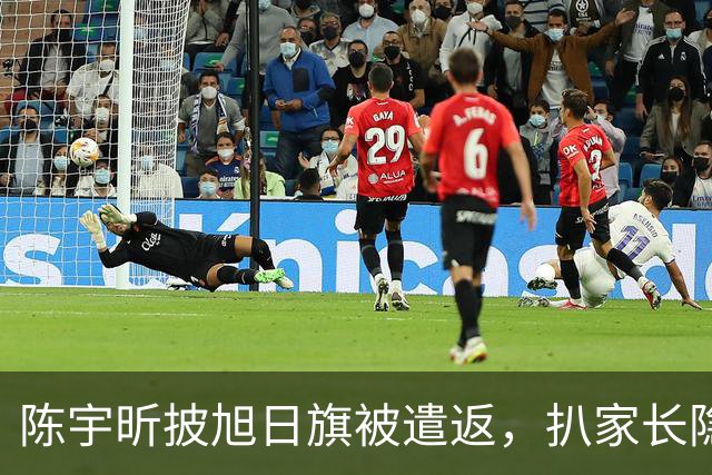 陈宇昕披旭日旗被遣返，扒家长隐私不等于正义